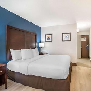 King Room Mobility accessible